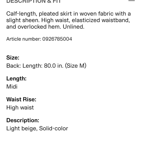 NWT Pleated Skirt - Picture 3 of 5